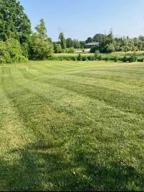 Lawn