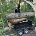 Logging