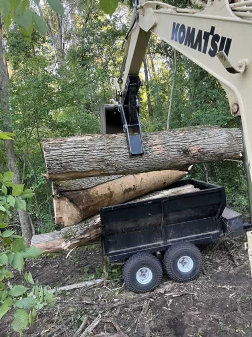 Logging